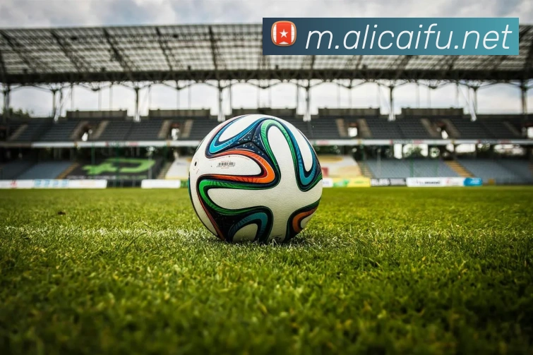 Kaiyun,开云,Kaiyun体育官方网站,开云体育,Kaiyun集团体育股份有限公司平台生态图